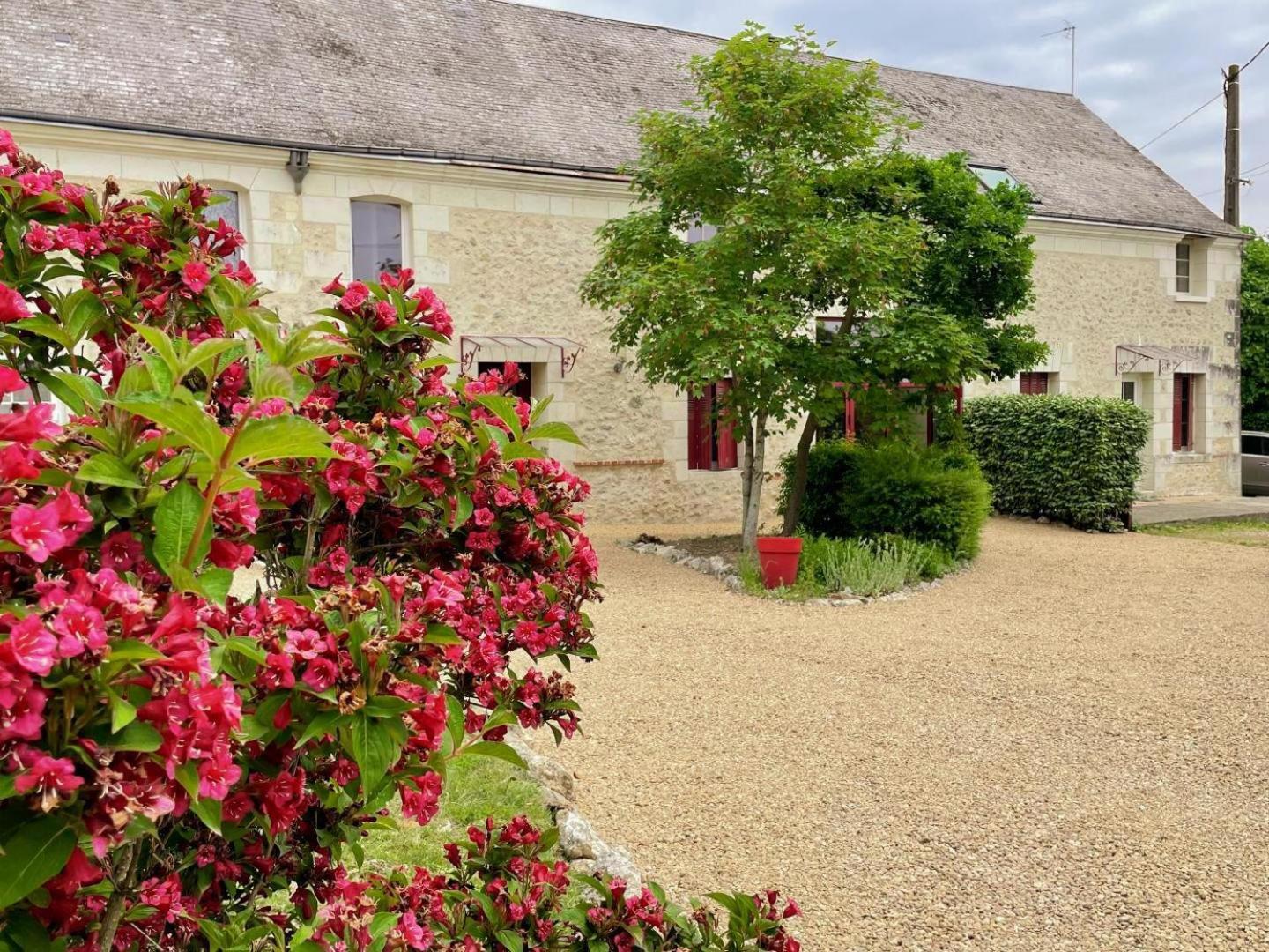 Au Domaine Du Bois Joubert Bed & Breakfast Luzillé Dış mekan fotoğraf